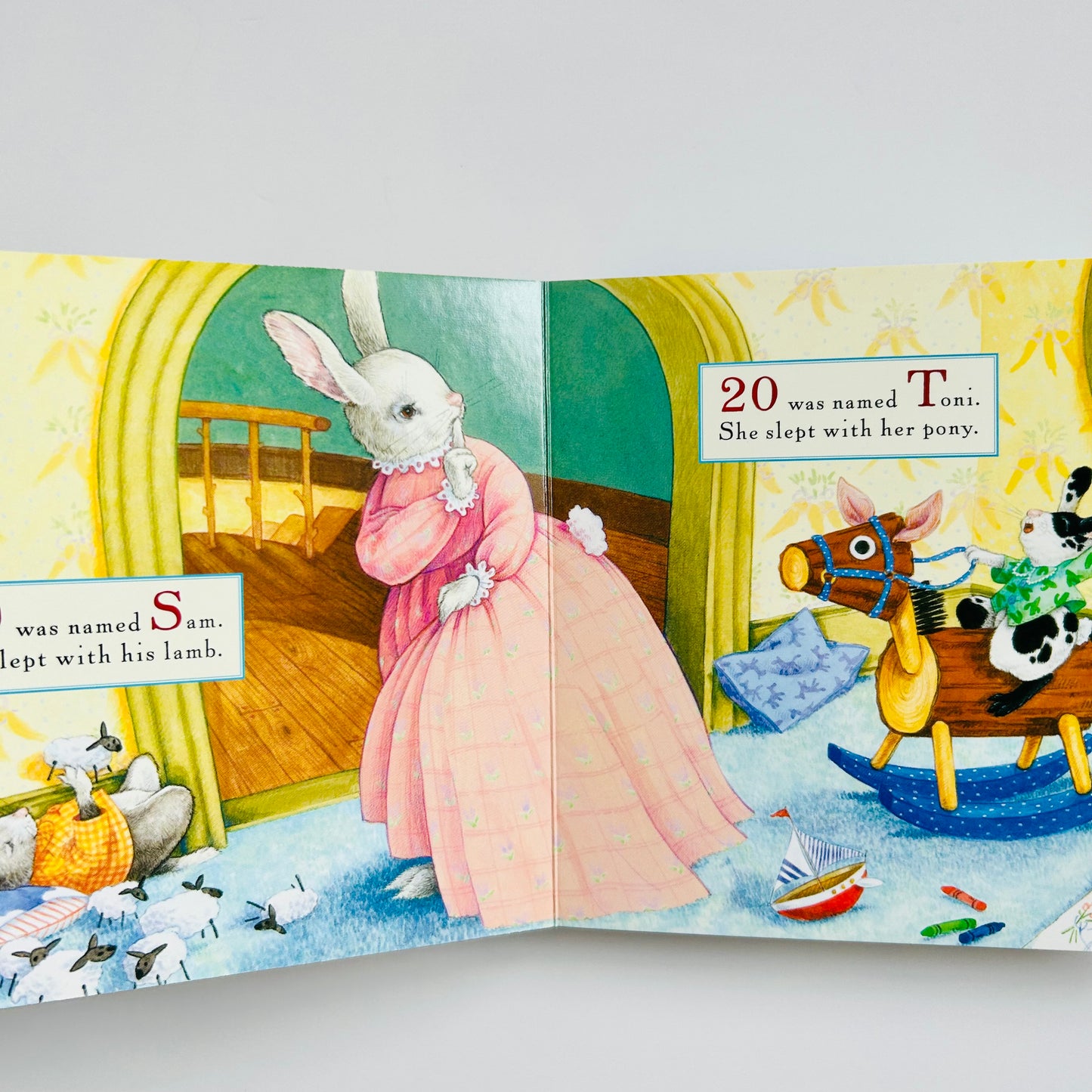 So Many Bunnies Board Book: A Bedtime ABC and Counting Book