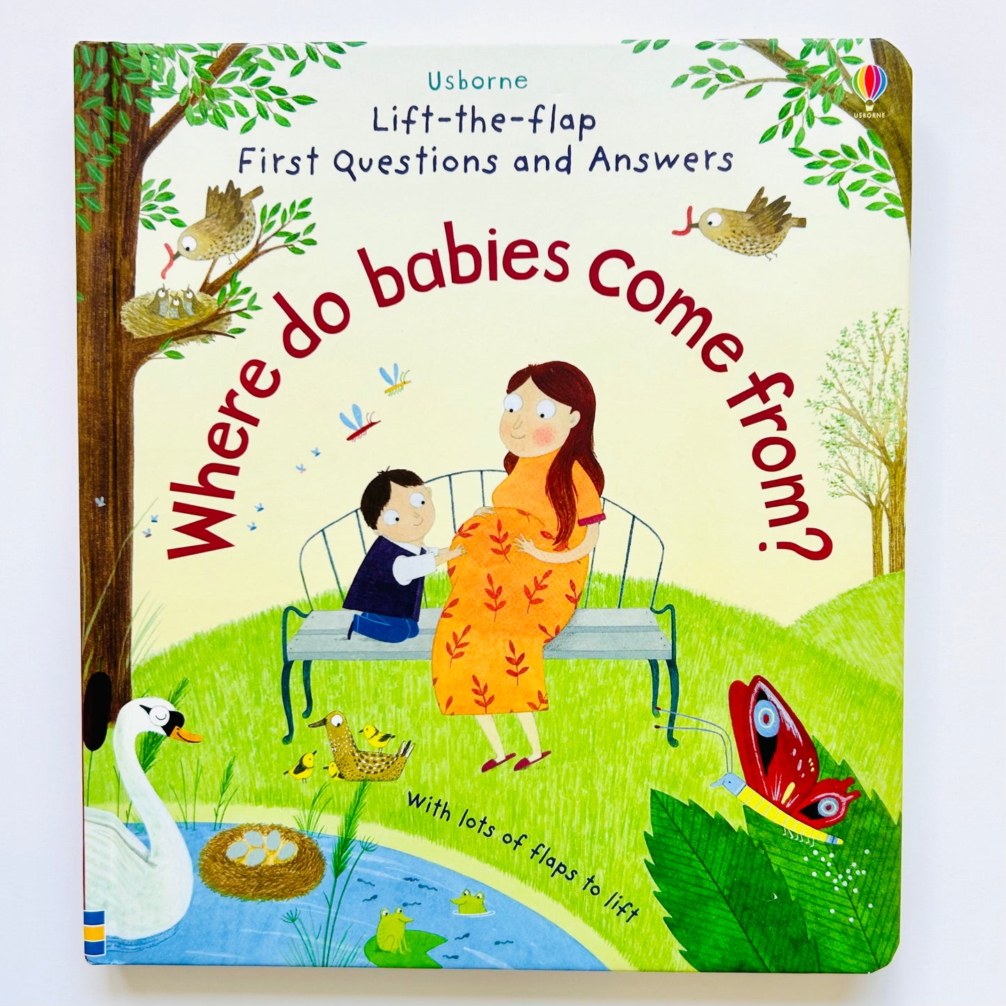 Usborne Lift-the-Flap First Questions and Answers: Where Do Babies Come From?