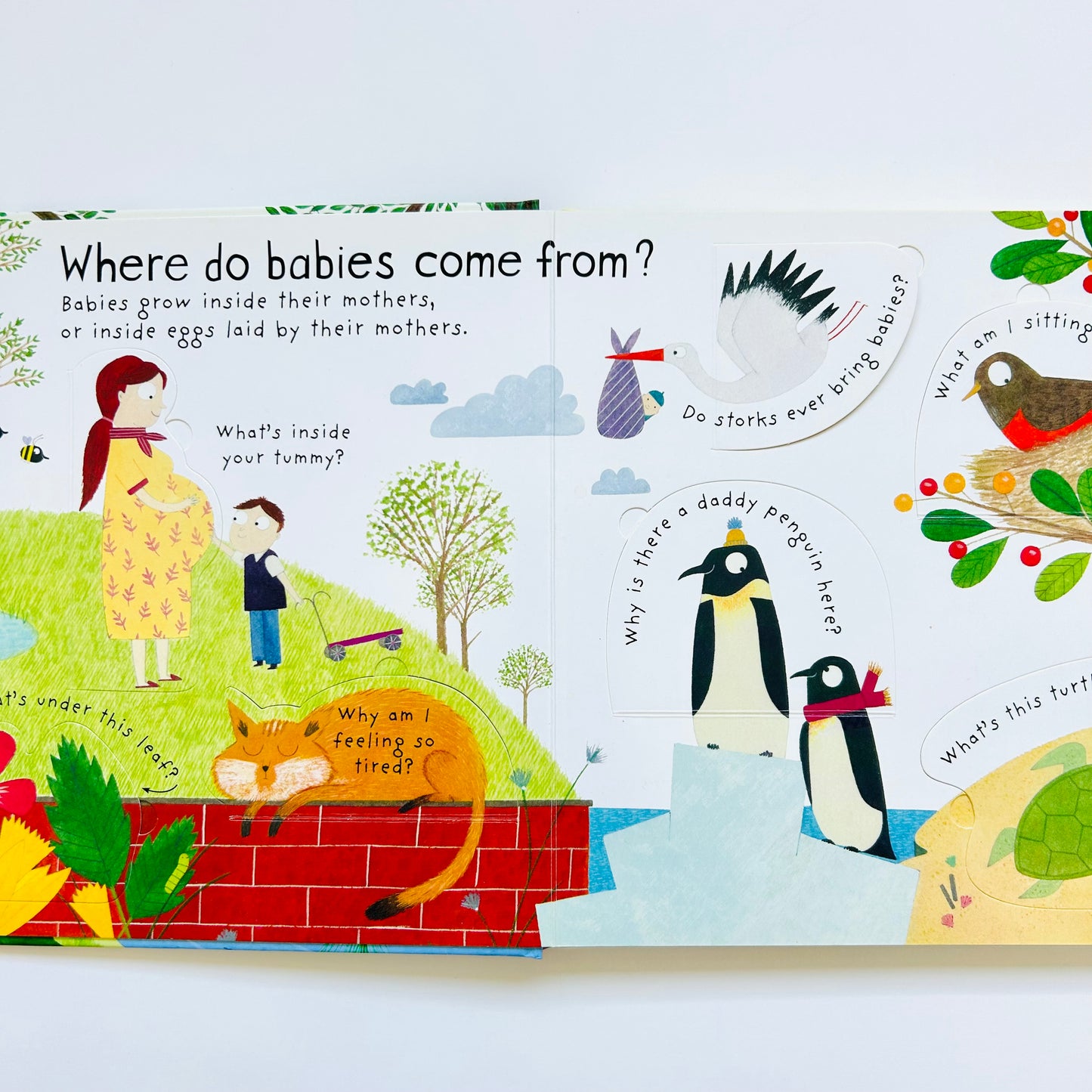 Usborne Lift-the-Flap First Questions and Answers: Where Do Babies Come From?