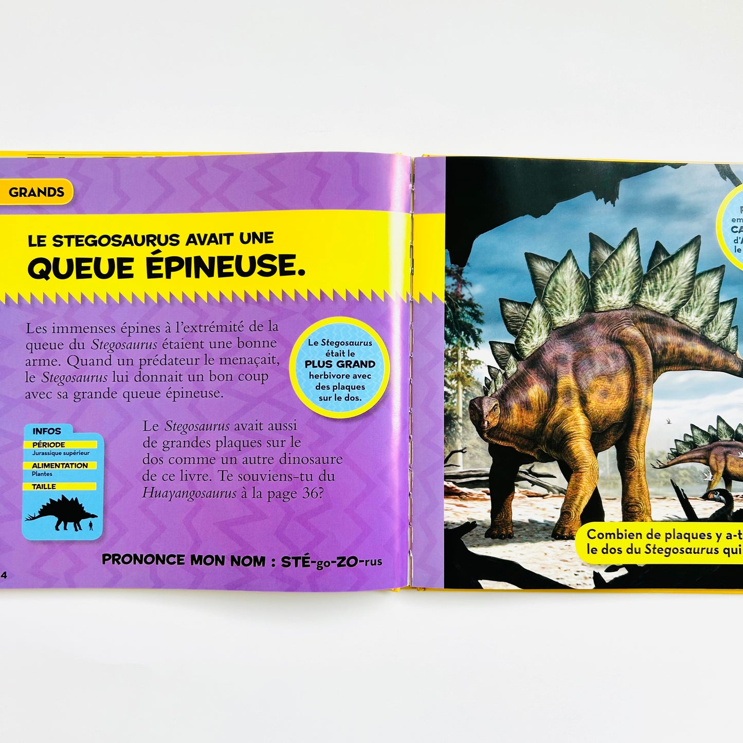 National Geographic Kids: Mon Grand Livre de Dinosaures