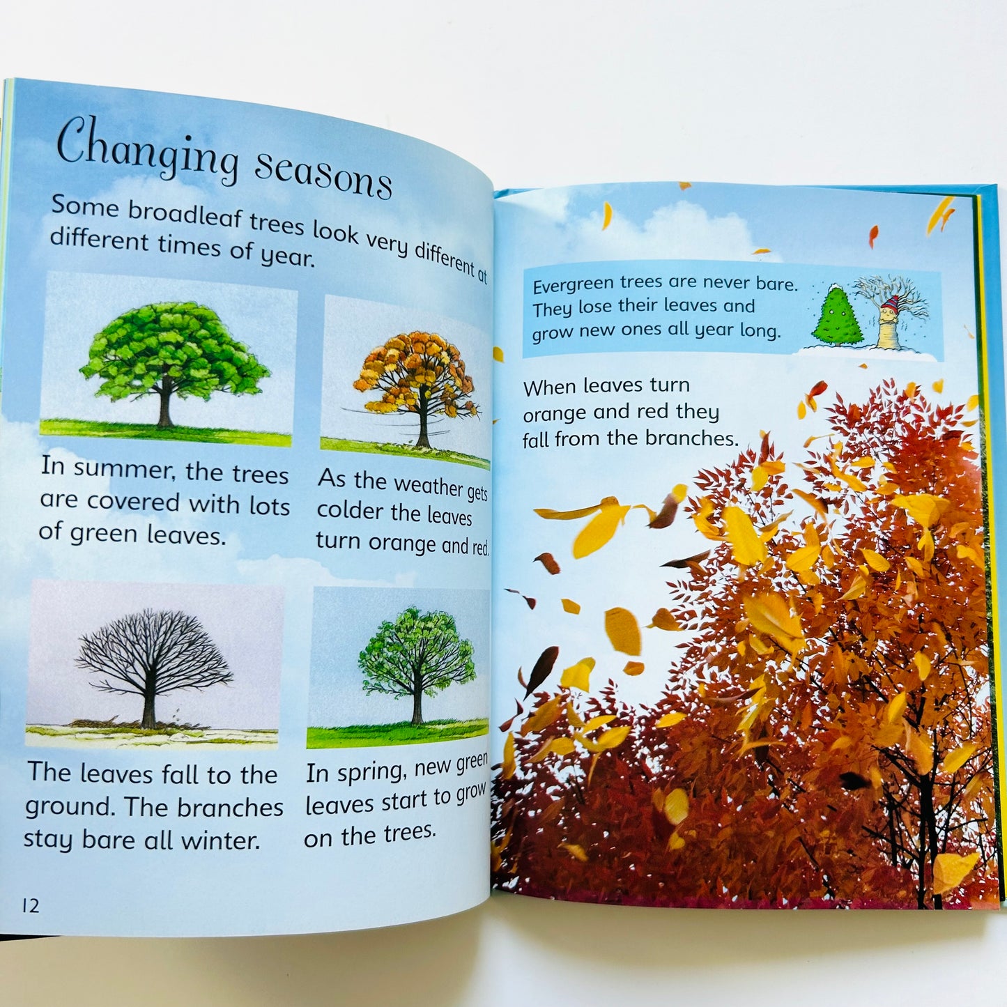 Usborne Beginners: Trees