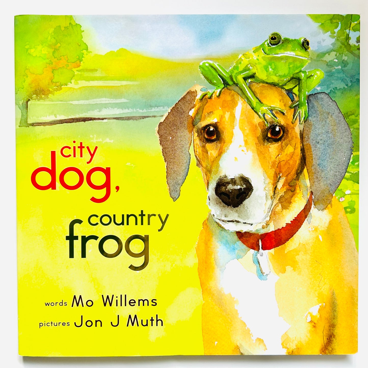 City Dog, Country Frog