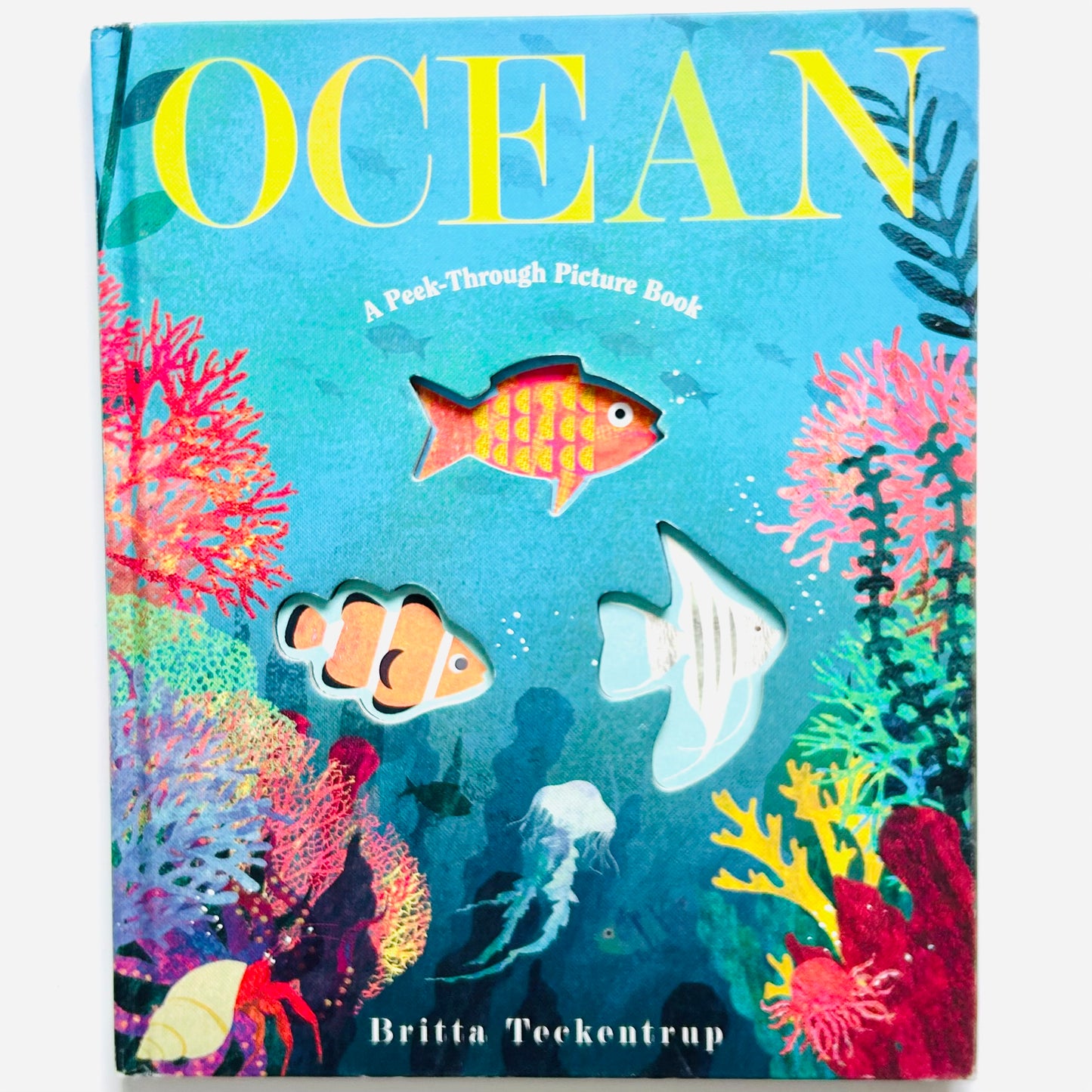 Ocean: A Peek-Through Picture Book