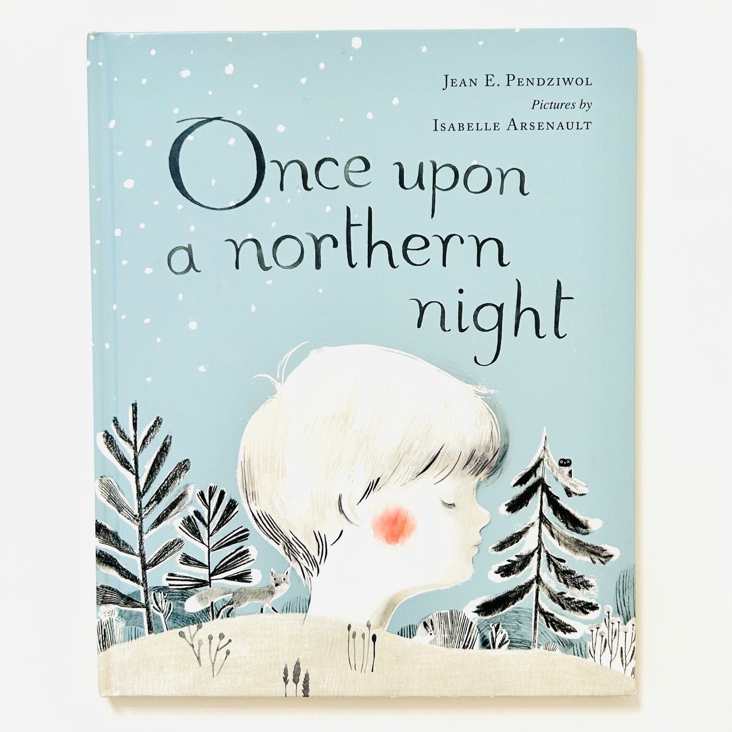 Once Upon a Northern Night