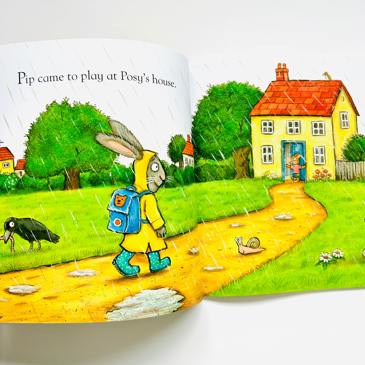 Pip Kid Pip & Posy The Little Puddle – Carousel Kids Books