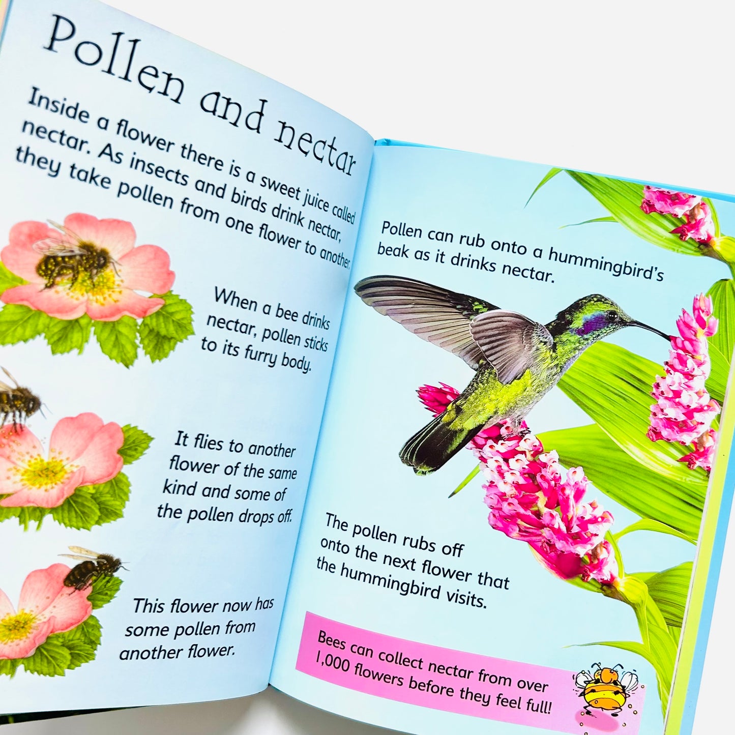 How Flowers Grow (Usborne Beginners, Level 1)