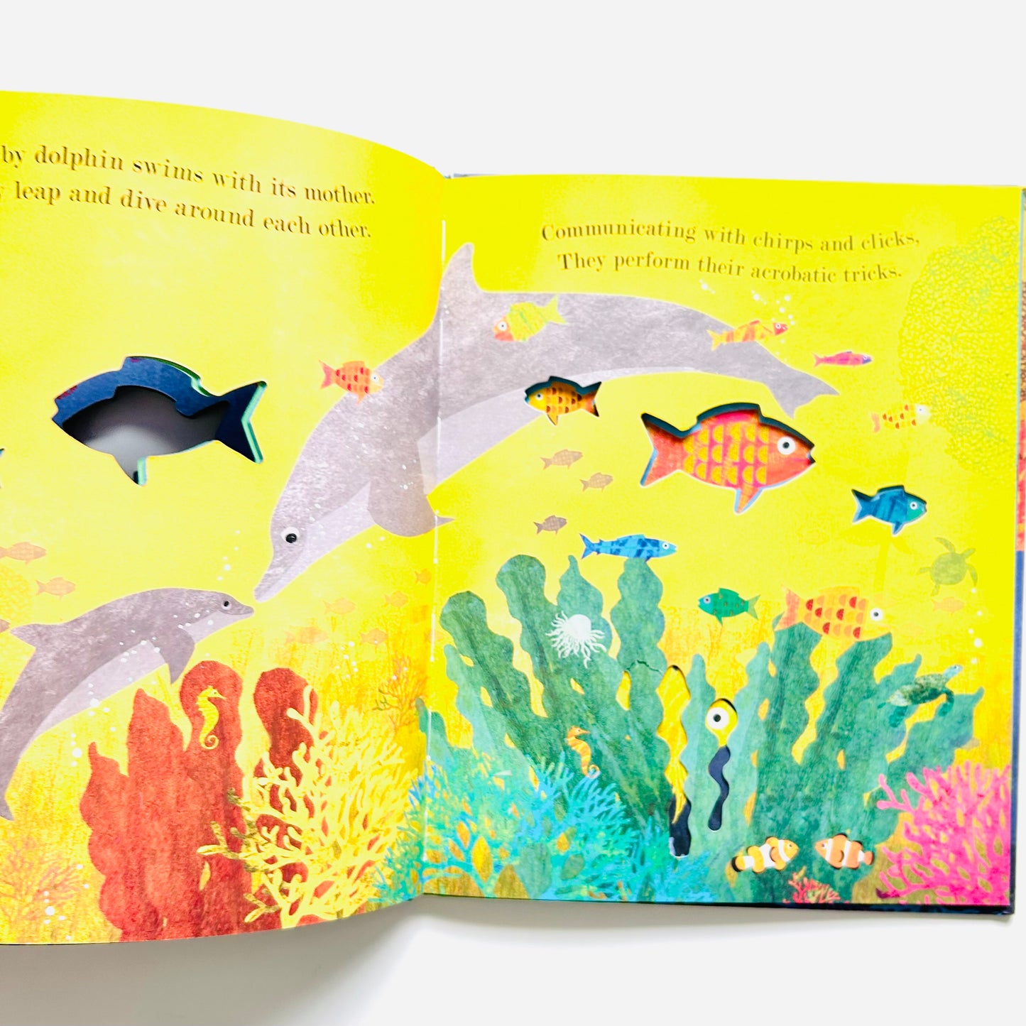 Ocean: A Peek-Through Picture Book