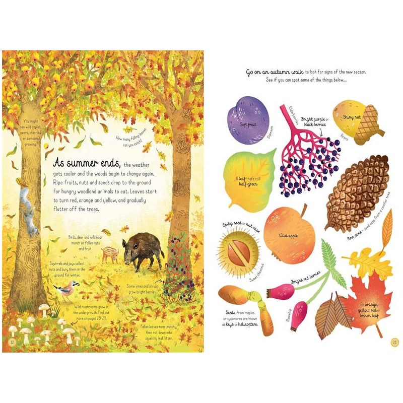 The Usborne Woodland Book