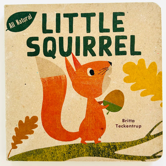 Little Squirrel