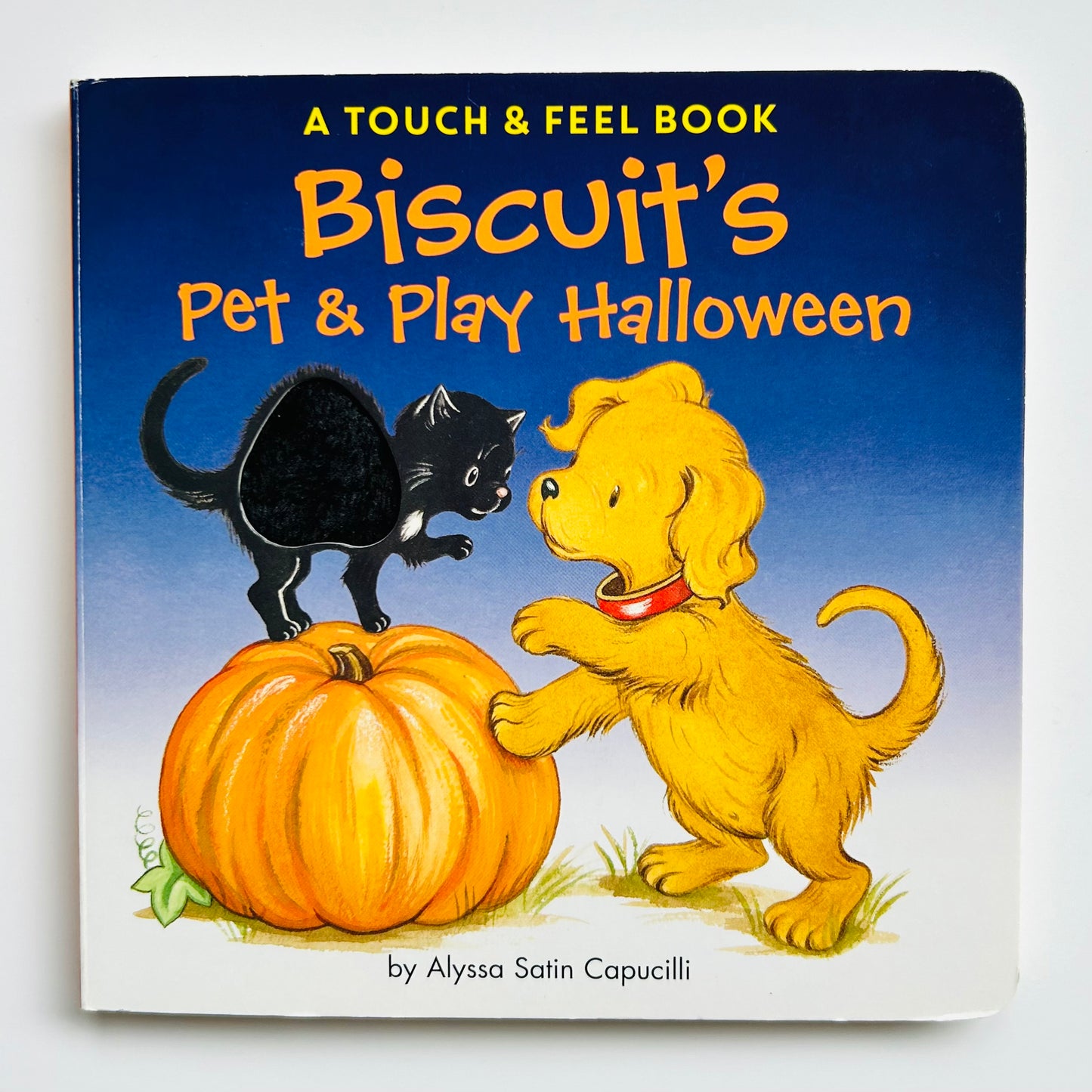 Biscuit's Pet & Play Halloween