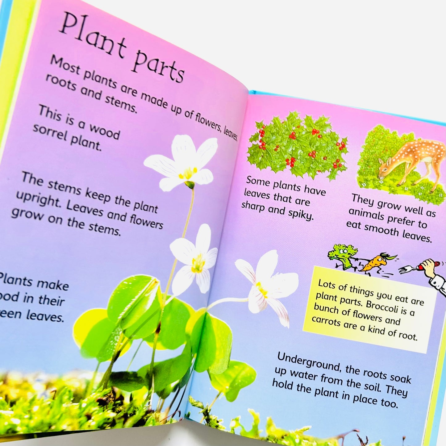 How Flowers Grow (Usborne Beginners, Level 1)