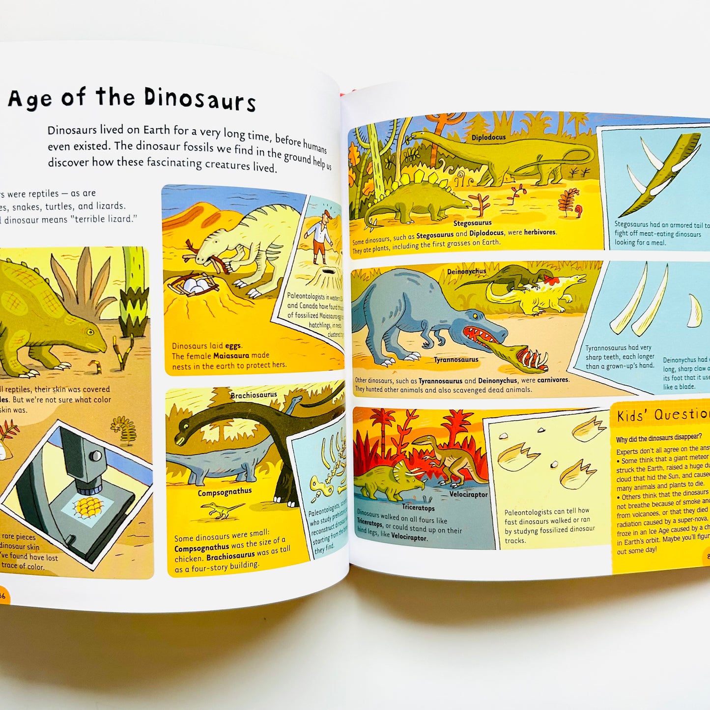 Smart-opedia Junior: The Amazing Book About Everything