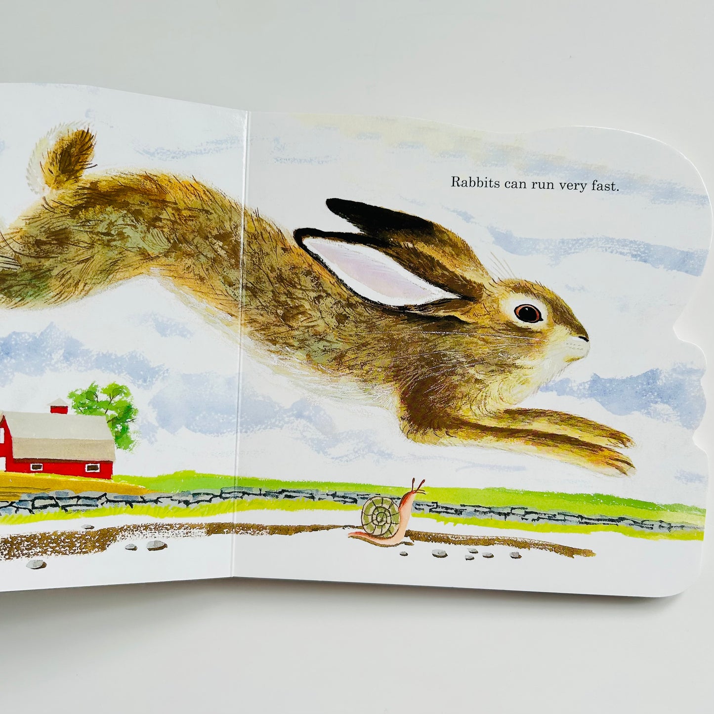 Richard Scarry's Bunnies