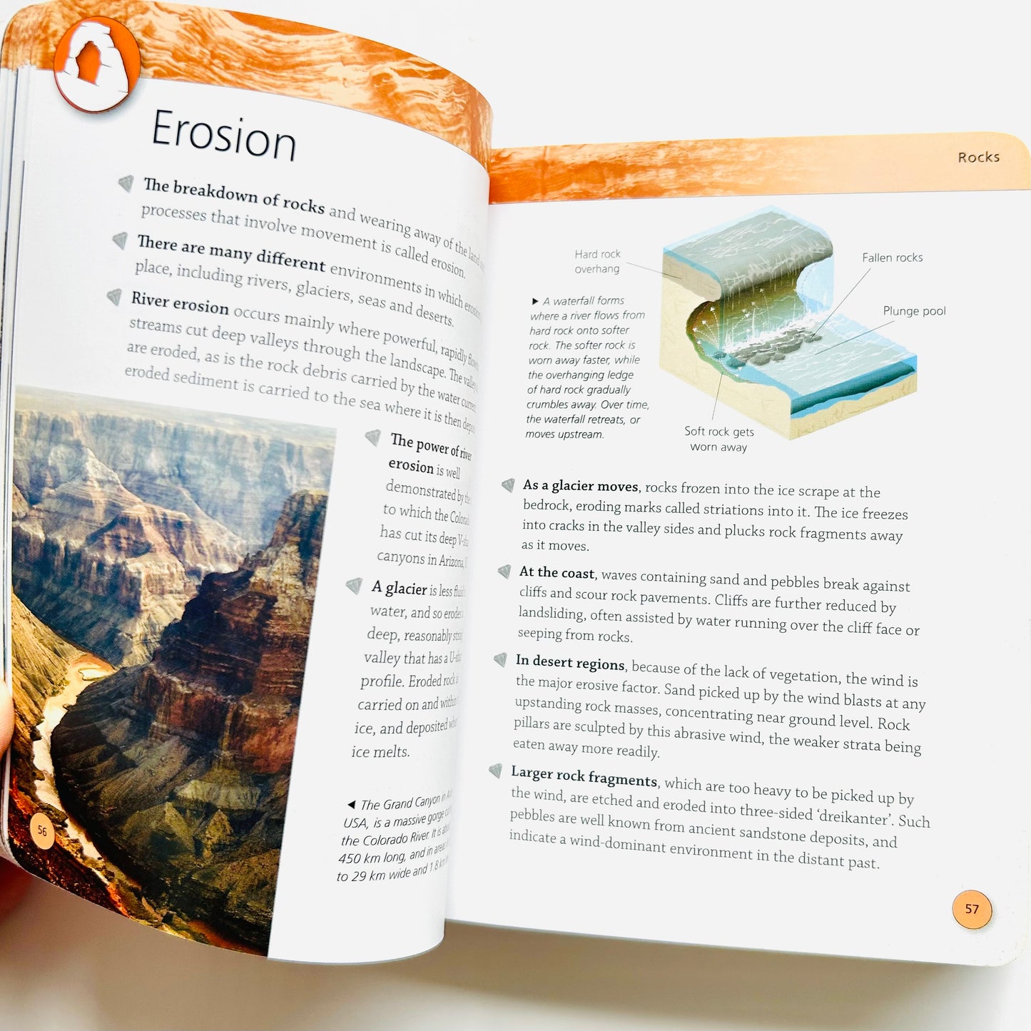 Mini Encyclodedia: Rocks & Fossils