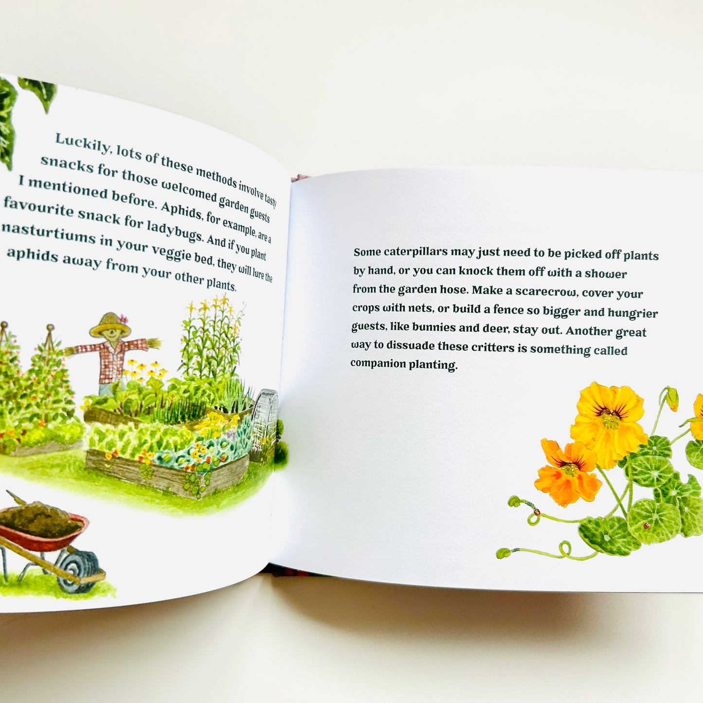 Garden Wonders: A Guidebook for Little Green Thumbs