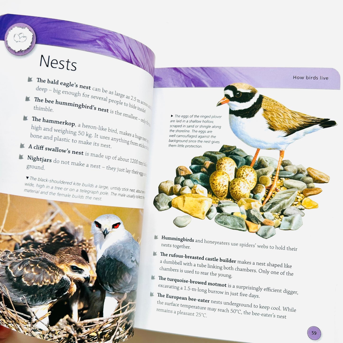 Mini Encyclopedia: Birds