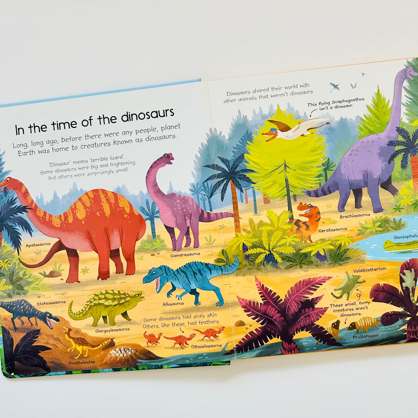 My Very First Dinosaurs Book