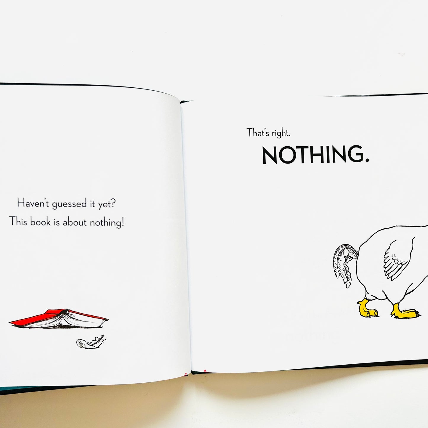 The Book About Nothing