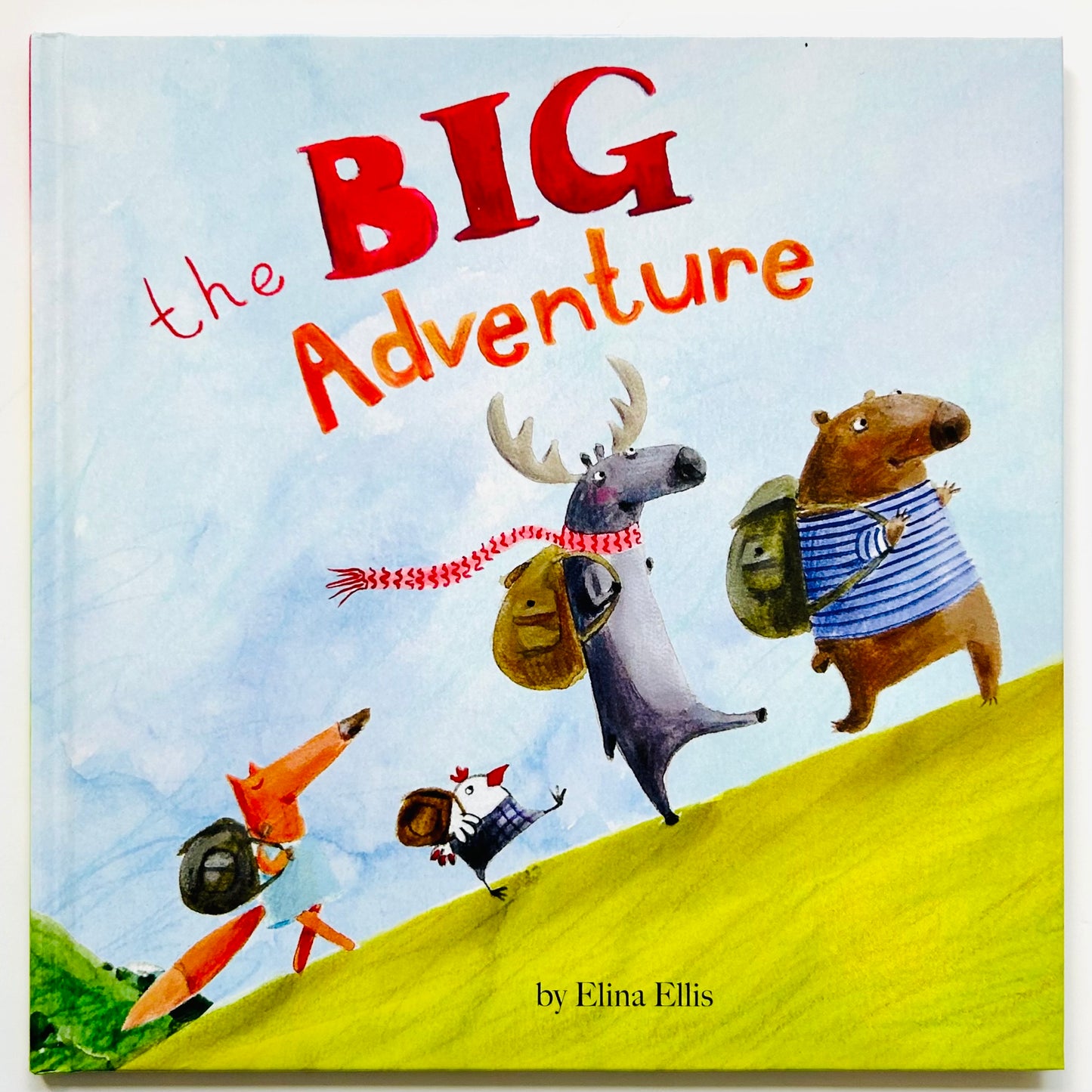 The Big Adventure