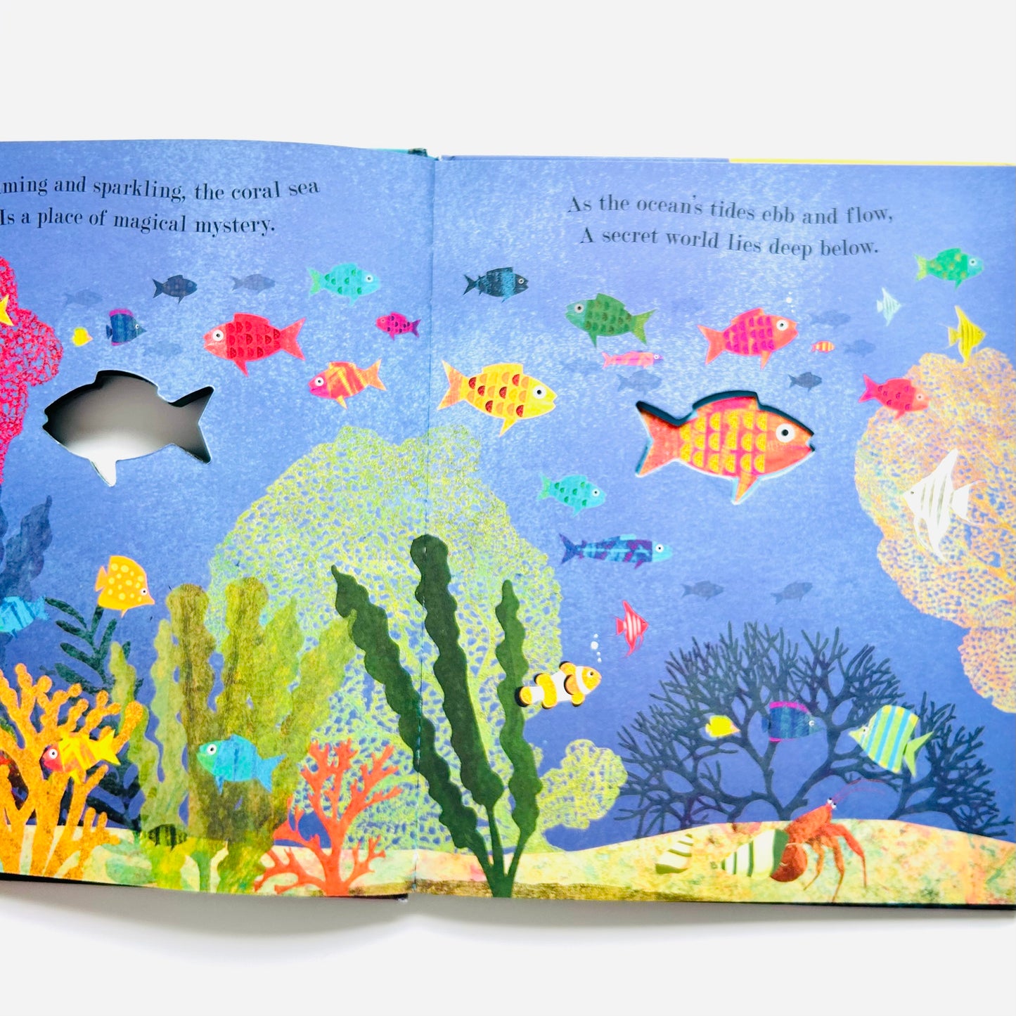 Ocean: A Peek-Through Picture Book