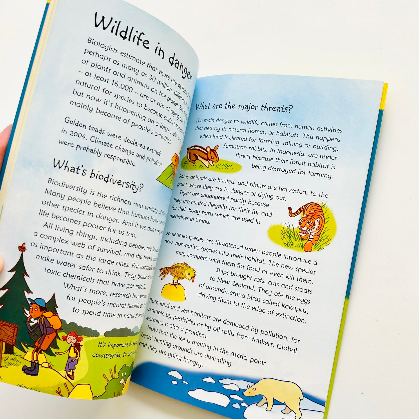 Usborne: Why Should I Bother About the Planet