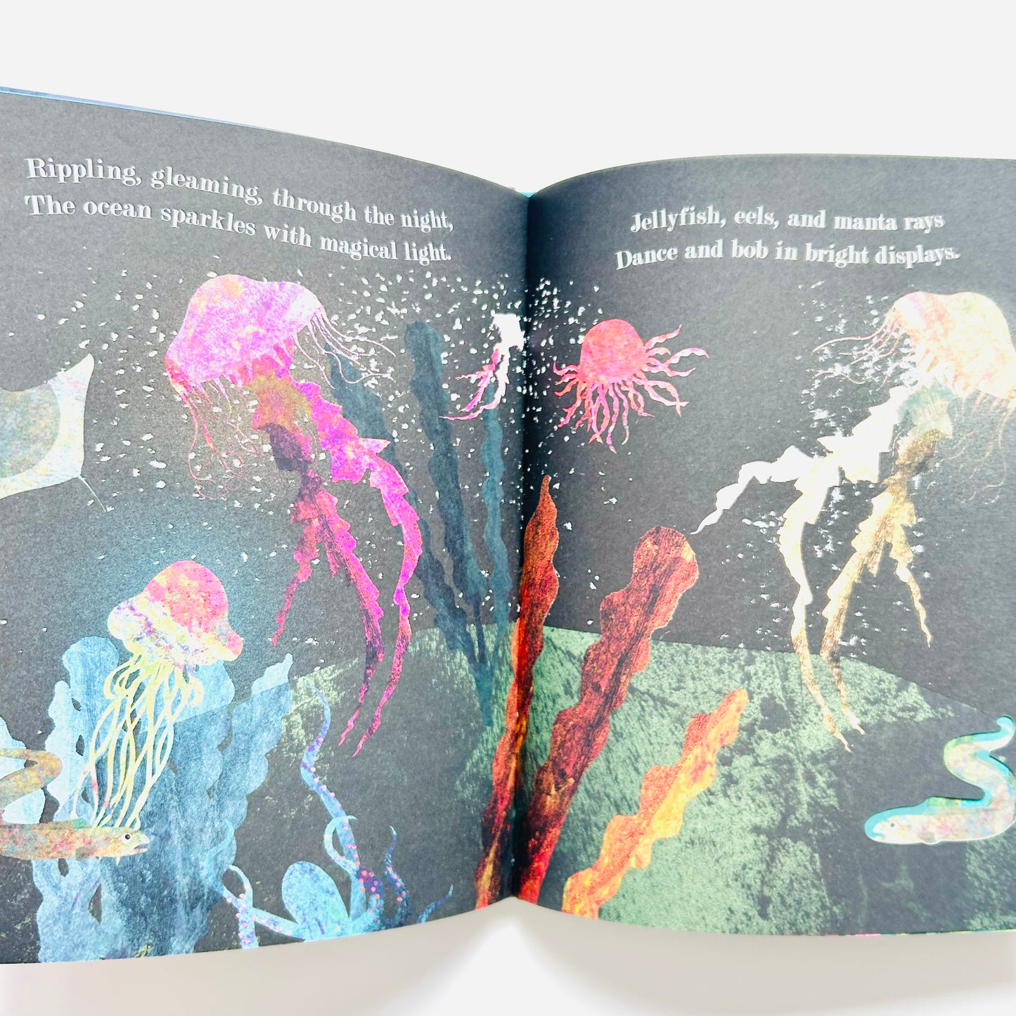 Ocean: A Peek-Through Picture Book