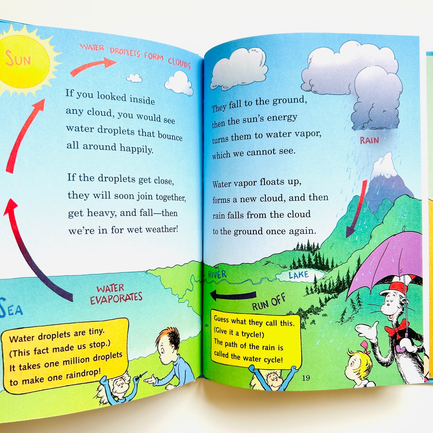 Oh Say Can You Say What s The Weather Today Carousel Kids Books Oh say can you say what s the weather today carousel kids books