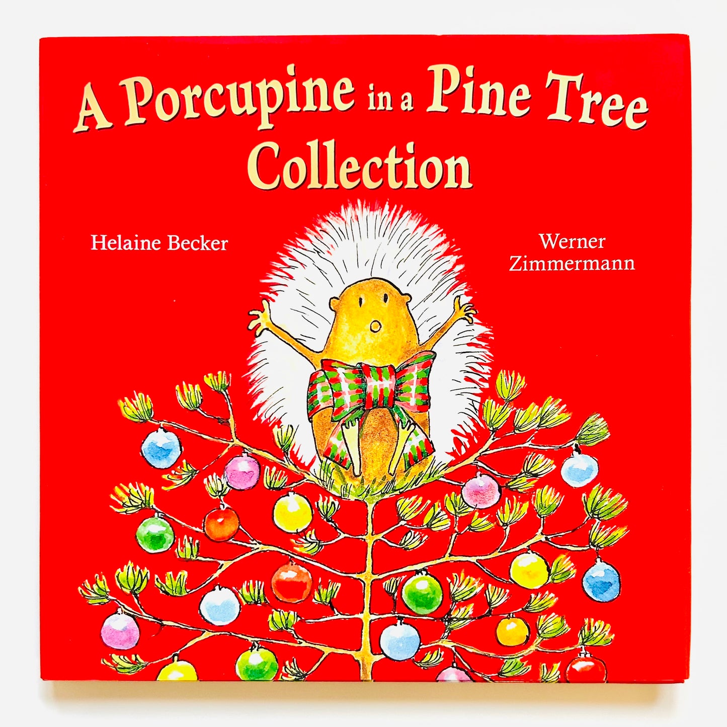 A Porcupine in a Pine Tree Collection