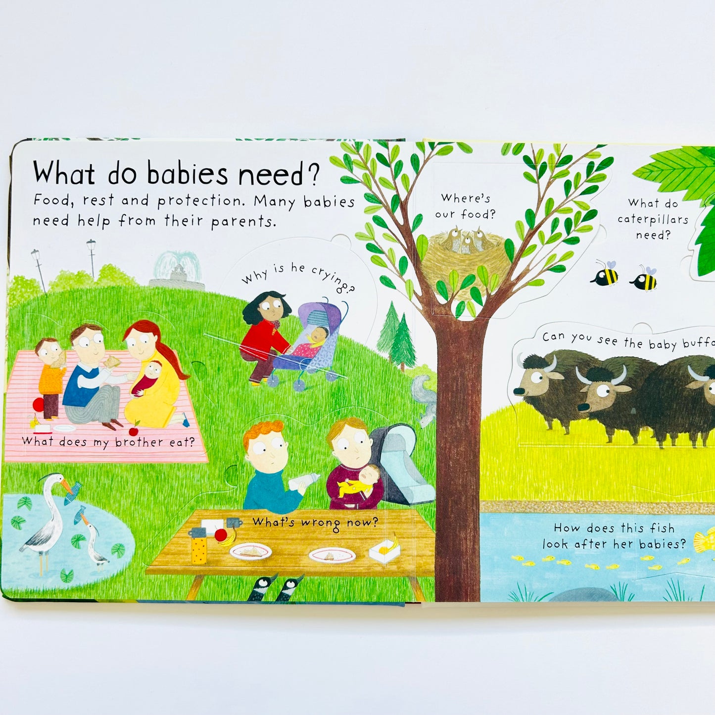 Usborne Lift-the-Flap First Questions and Answers: Where Do Babies Come From?