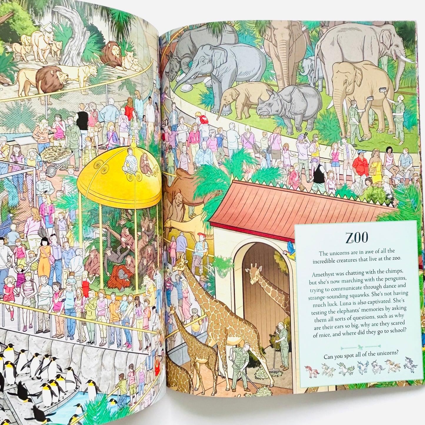 Where's the Unicorn?: A Magical Search Book