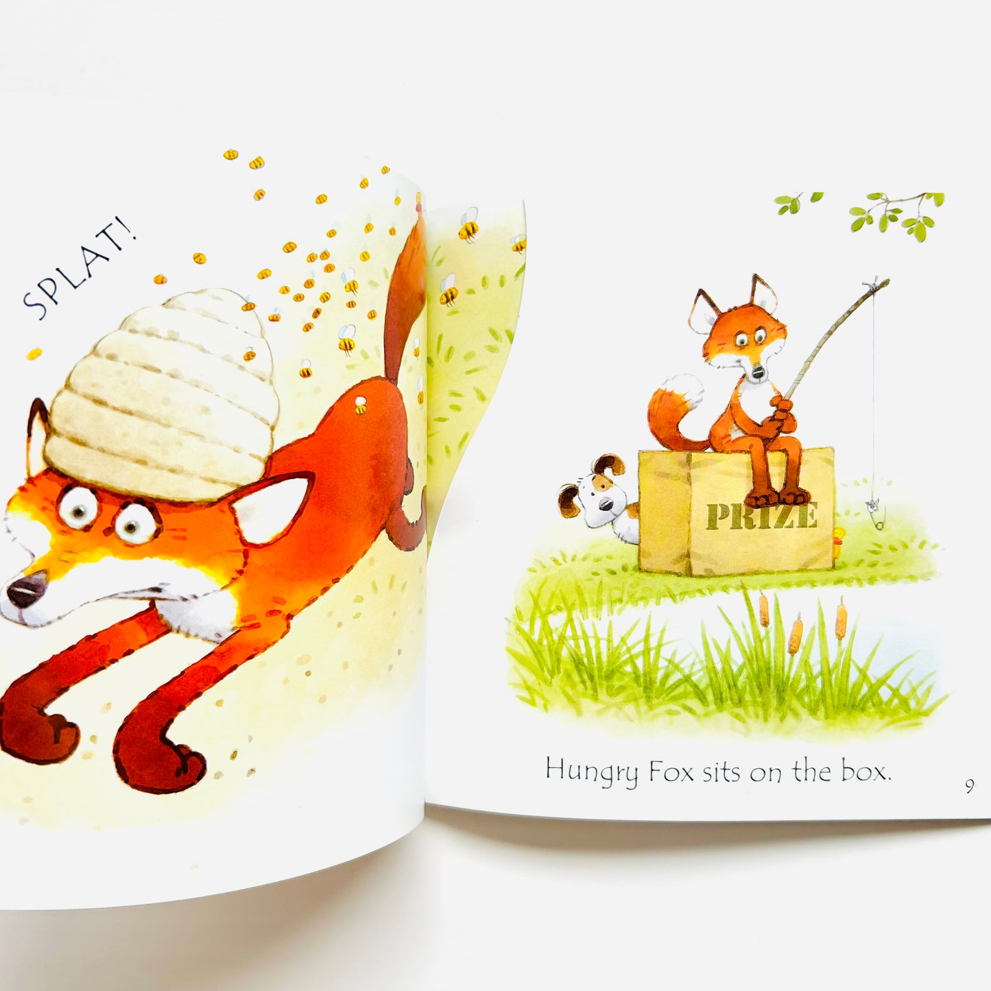 Fox On A Box (Usborne Phonics Readers)