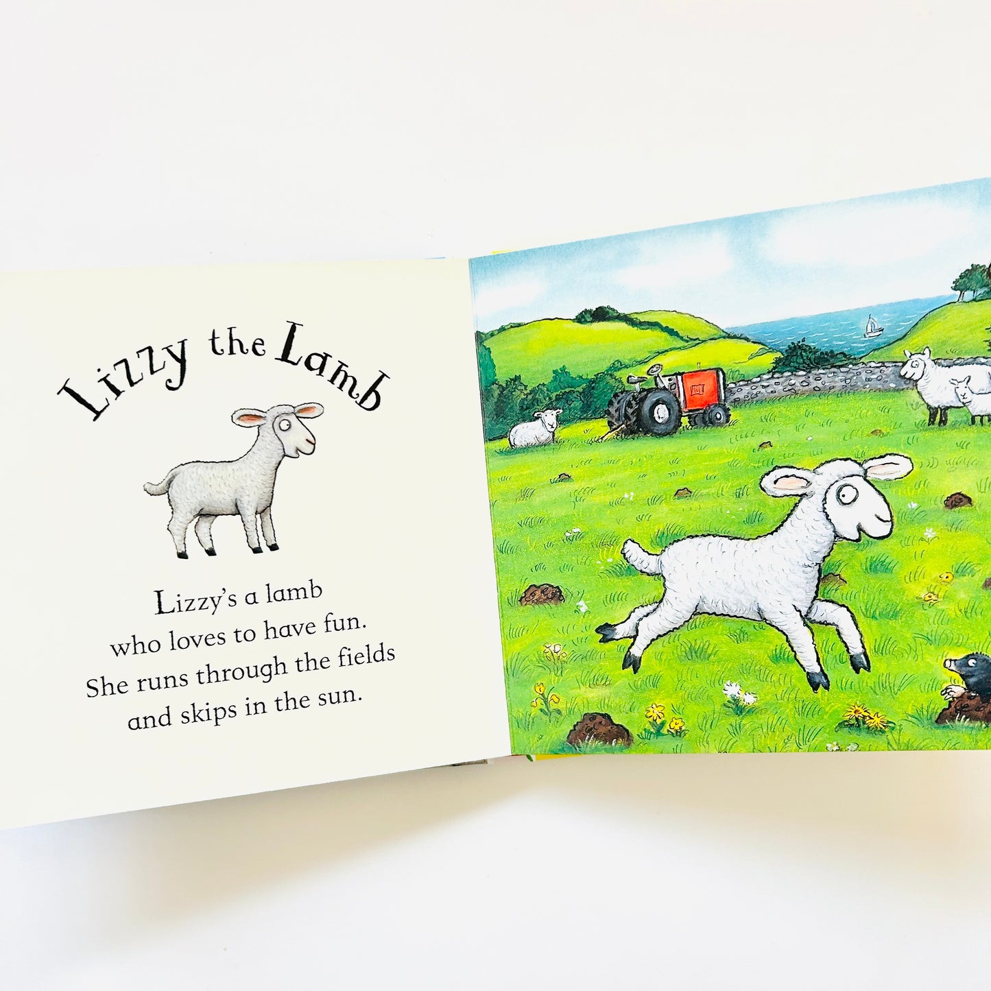 Rhyming Stories: Katie the Kitten and Lizzy the Lamb