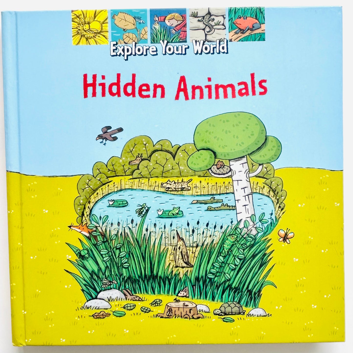 Hidden Animals (Explore Your World)