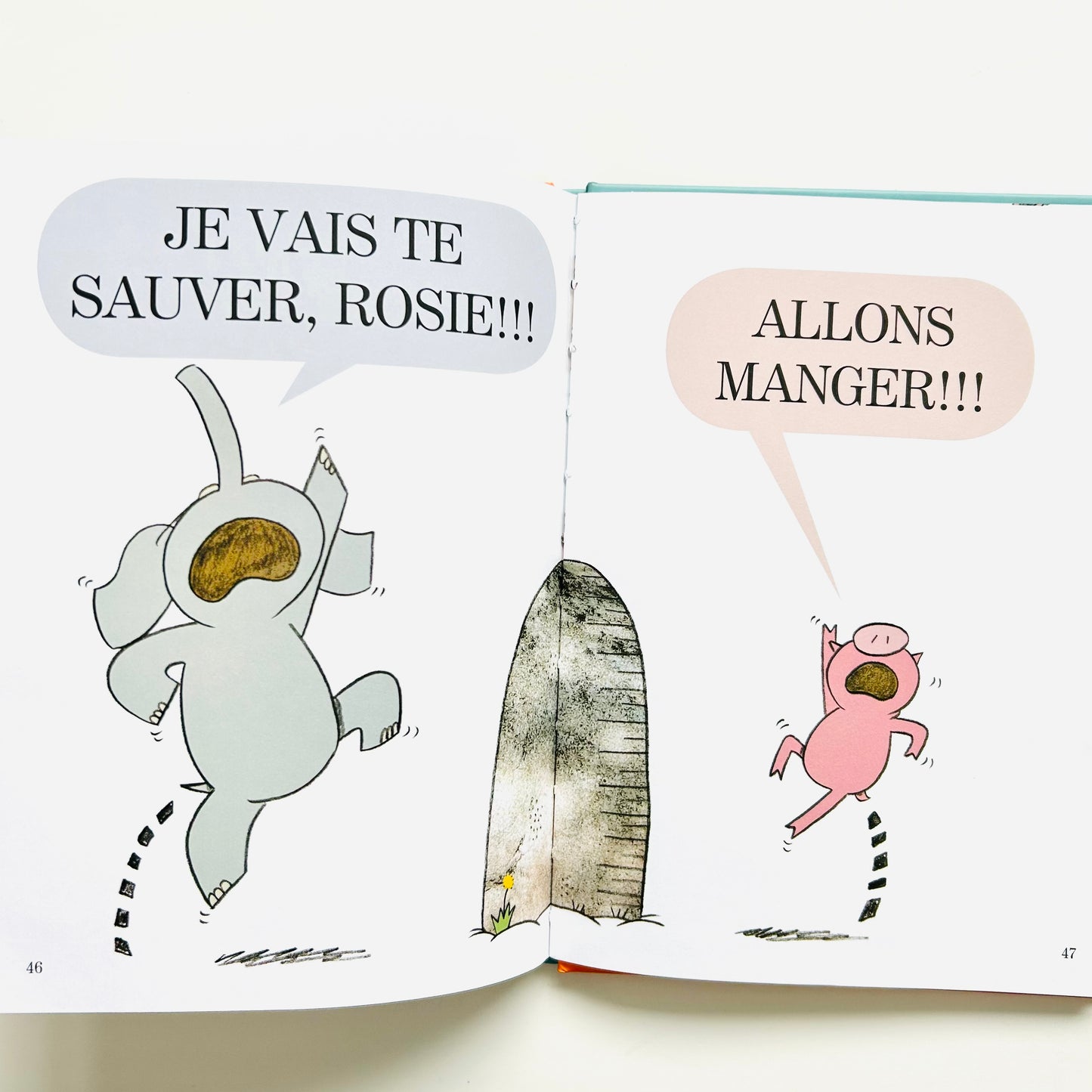 Éléphant Et Rosie: Une Surprise Pour Mon Ami!