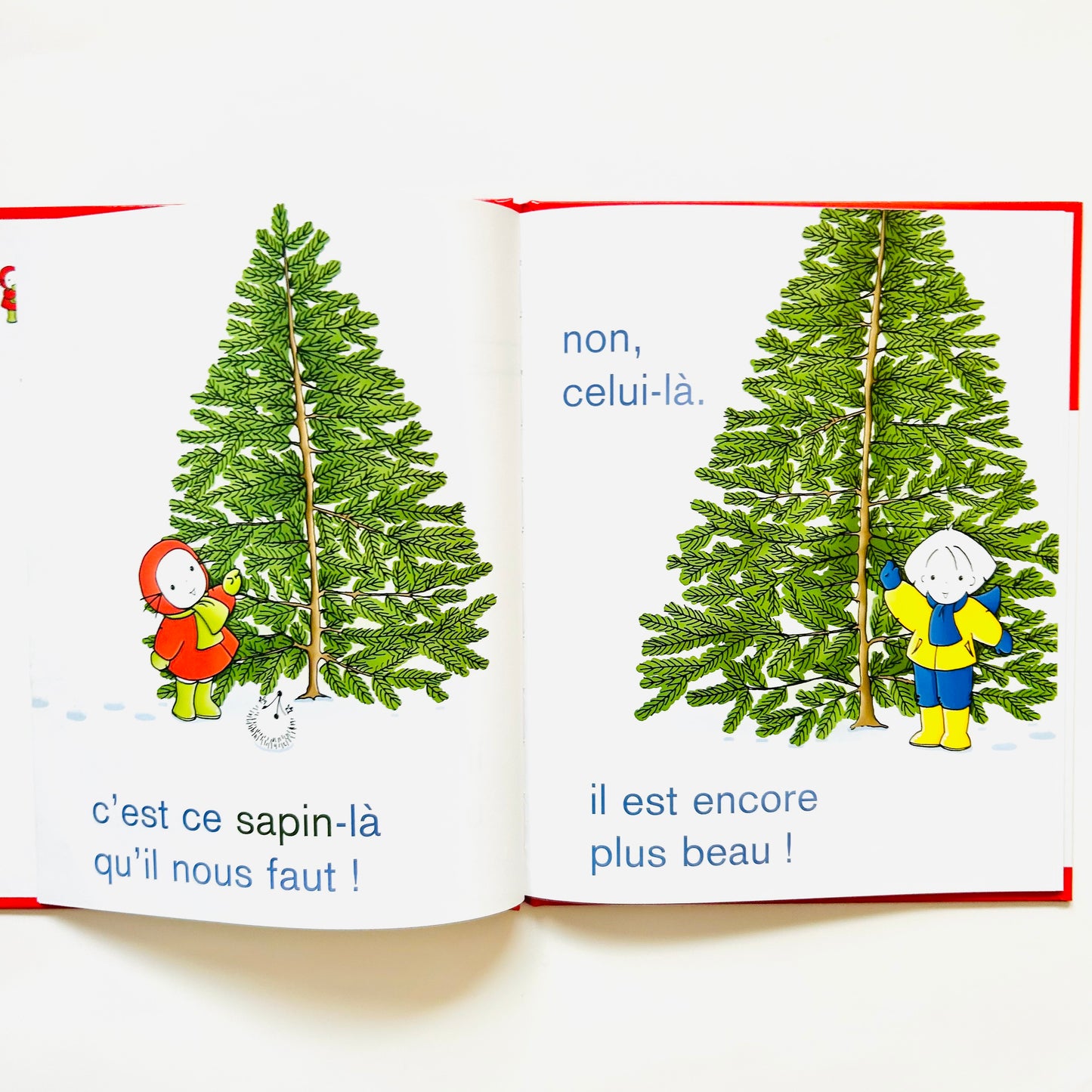 Émilie et le petit sapin