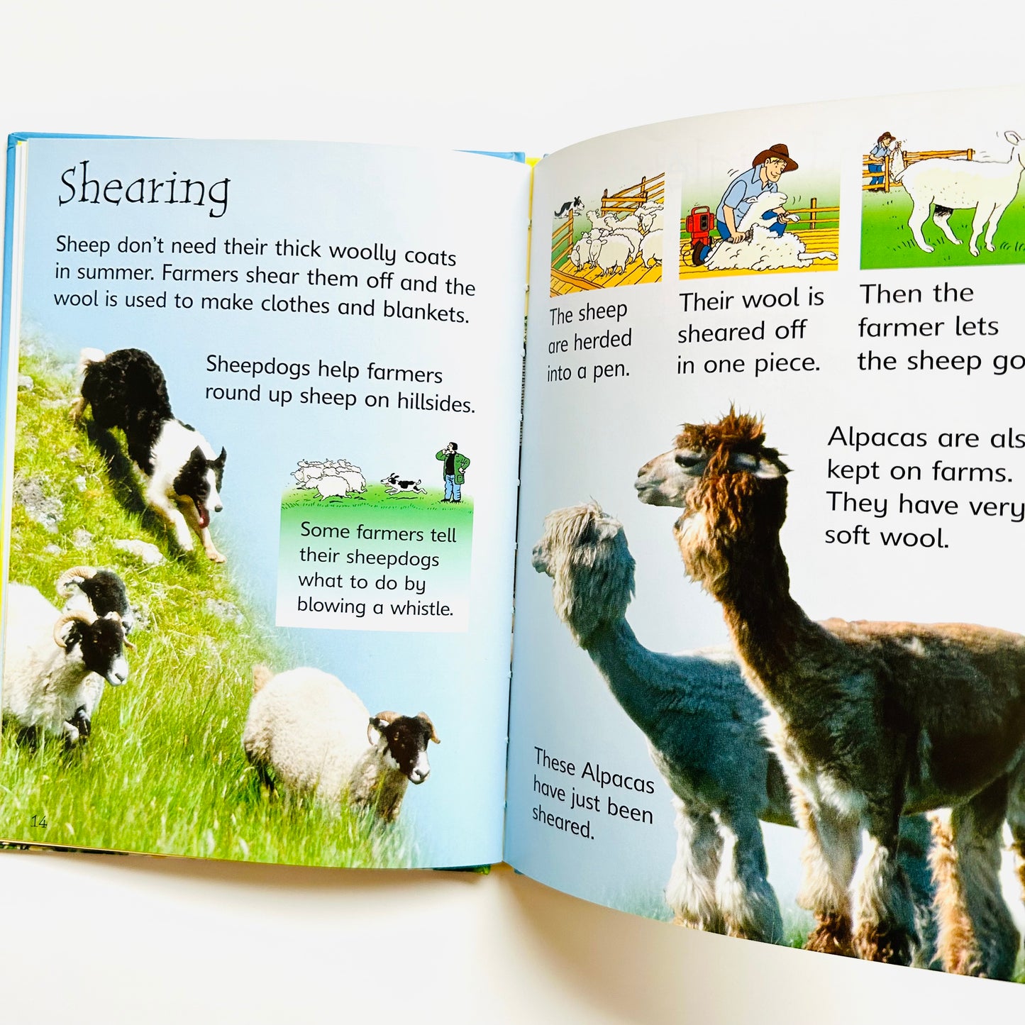 Usborne: Farm Animals (Beginners)