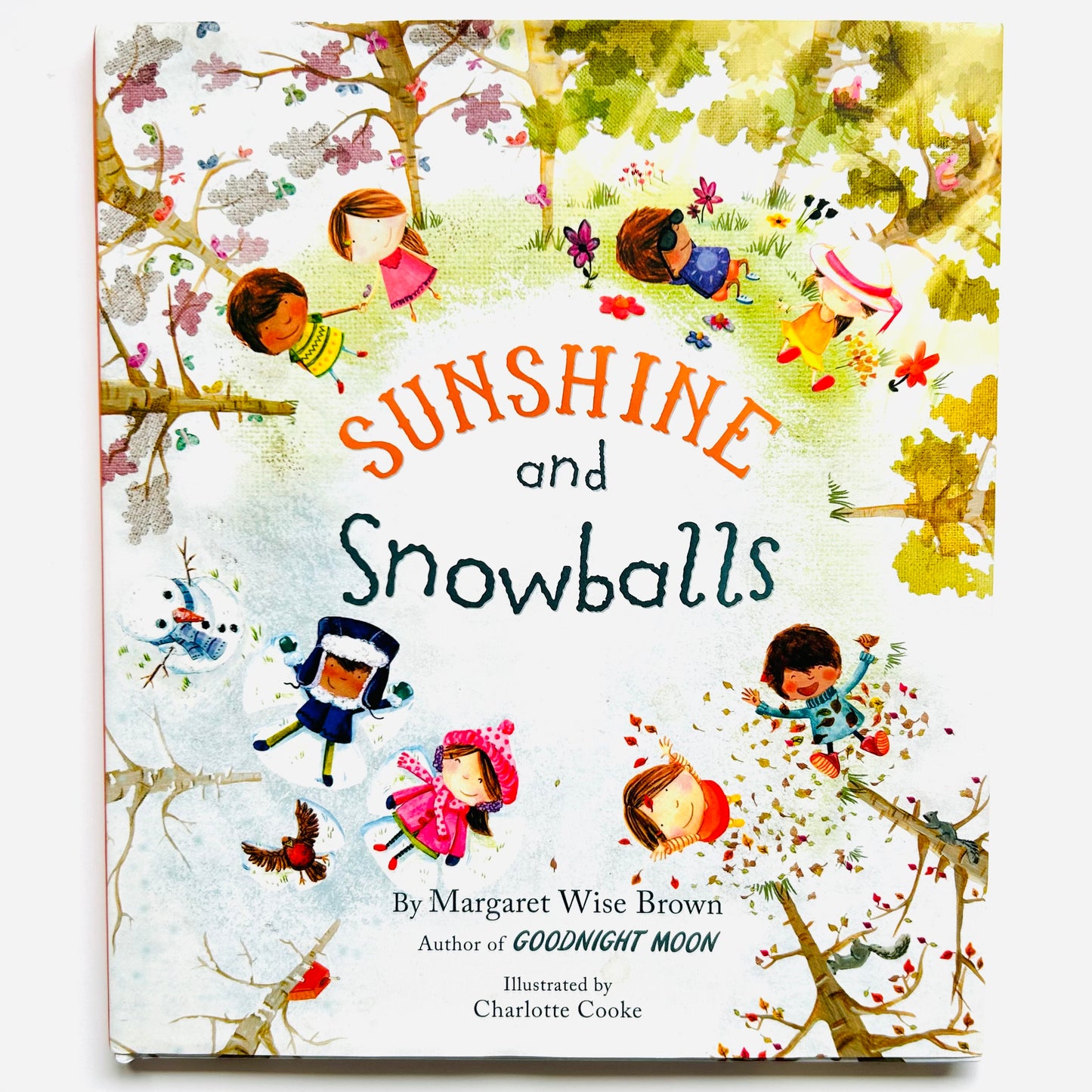 Sunshine and Snowballs