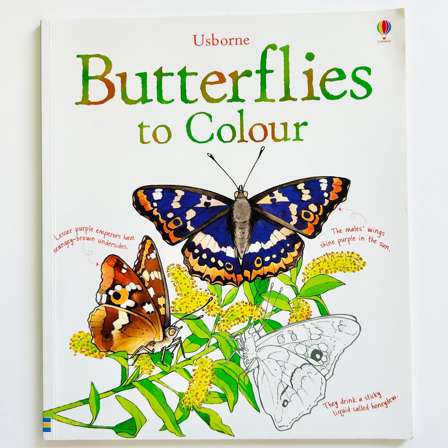 Butterflies to Colour