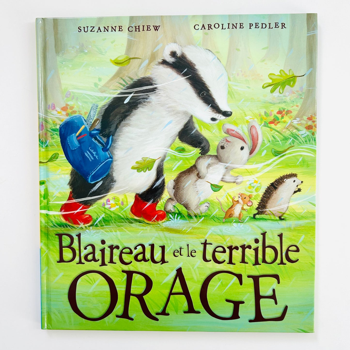 Blaireau et le terrible orage