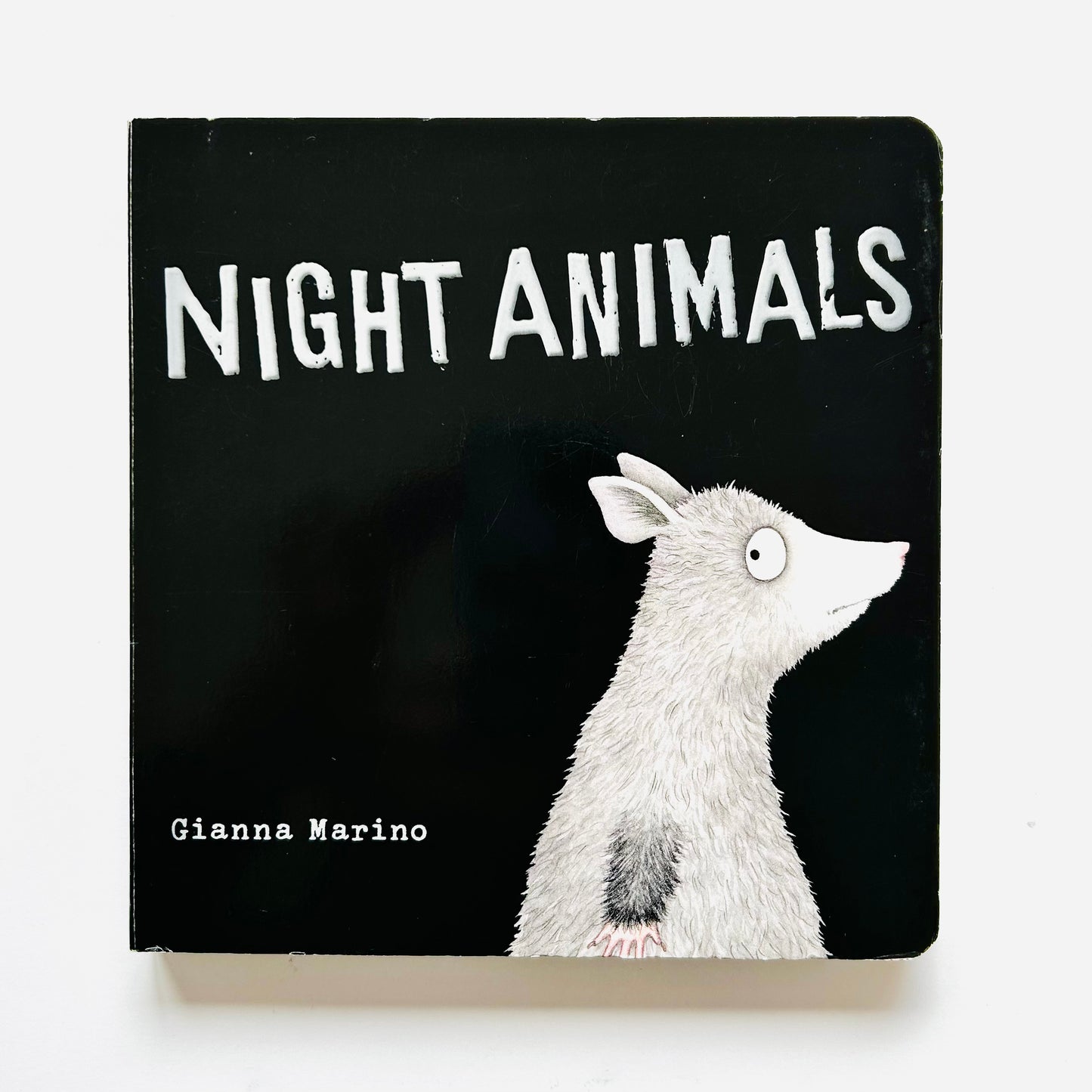 Night Animals