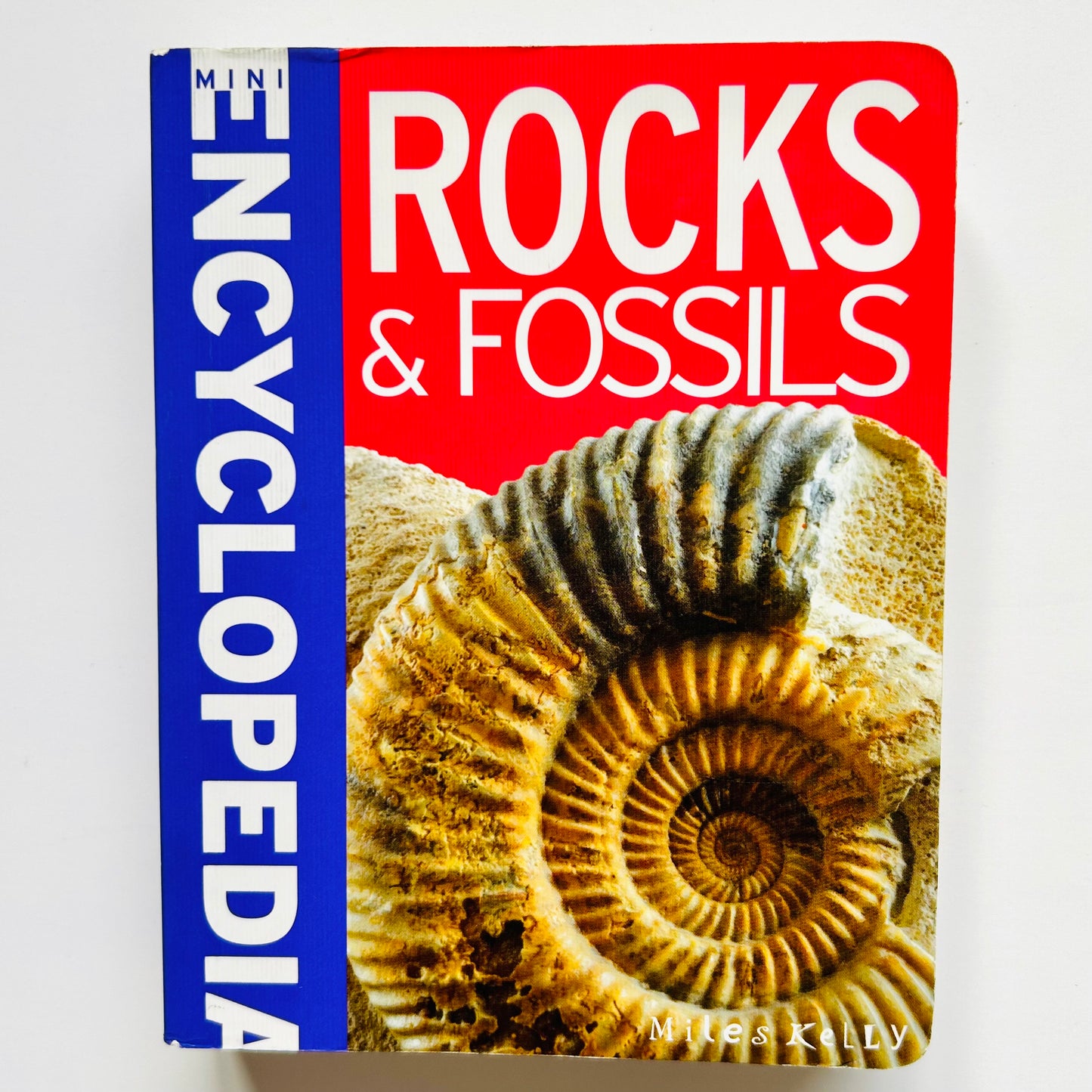 Mini Encyclodedia: Rocks & Fossils