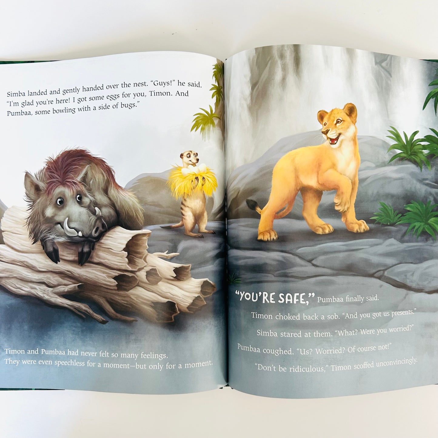 The Lion King Picture Book: Hakuna Matata