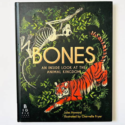 Bones: A Inside Look at the Animal Kingdom