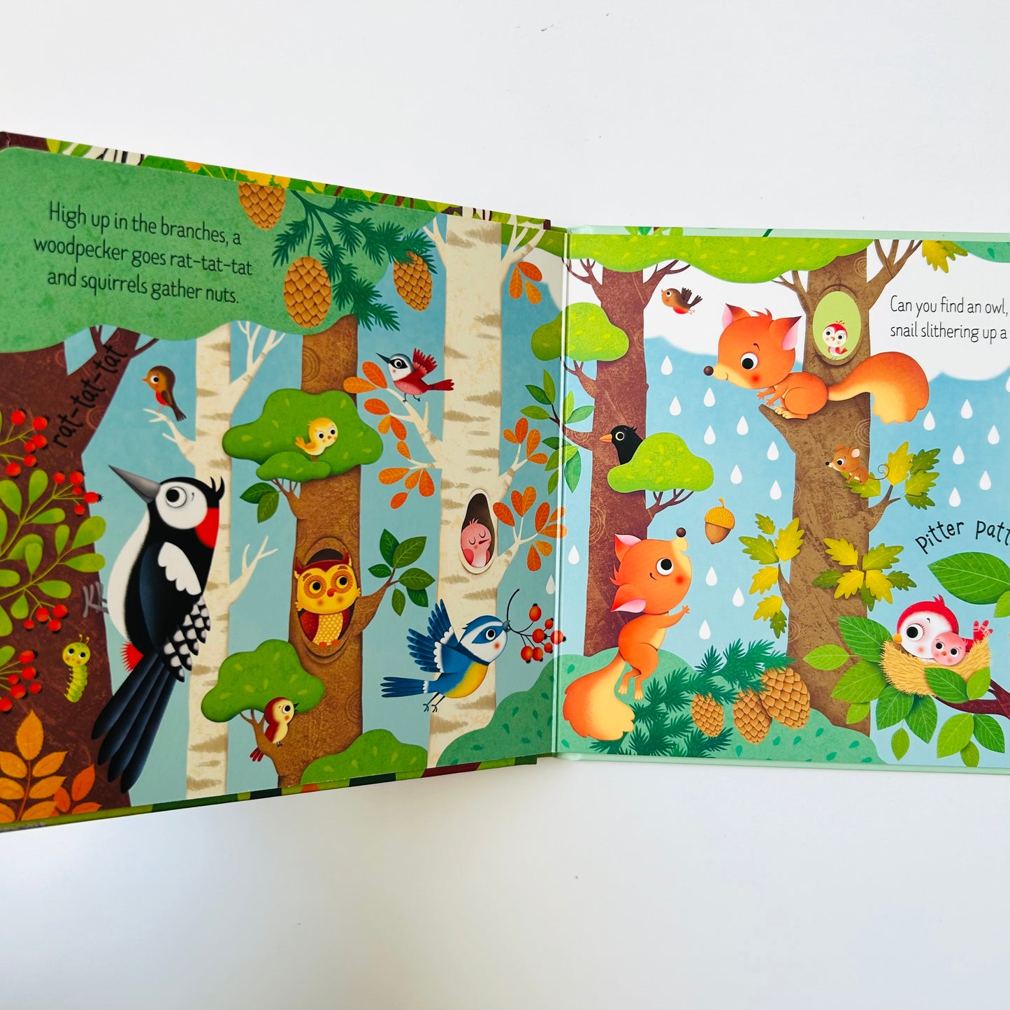 Usborne: Woodland