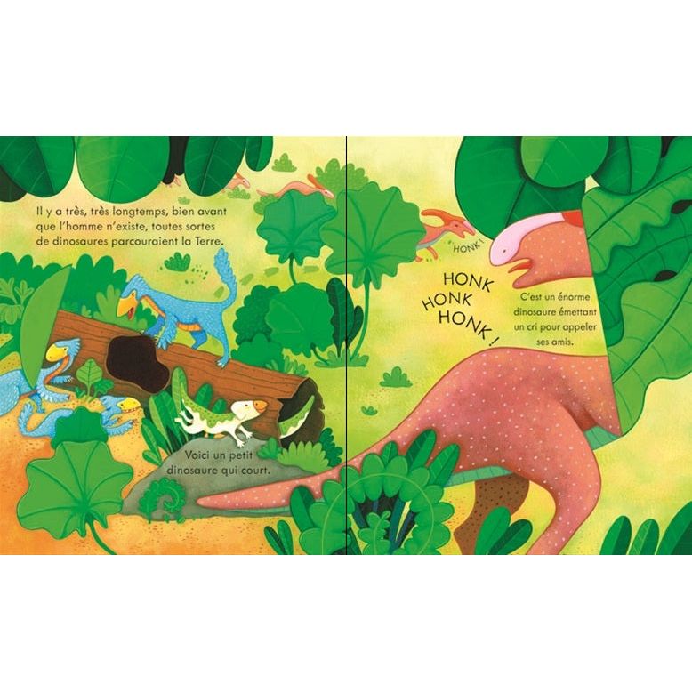 Usborne Coucou! Les dinosaures