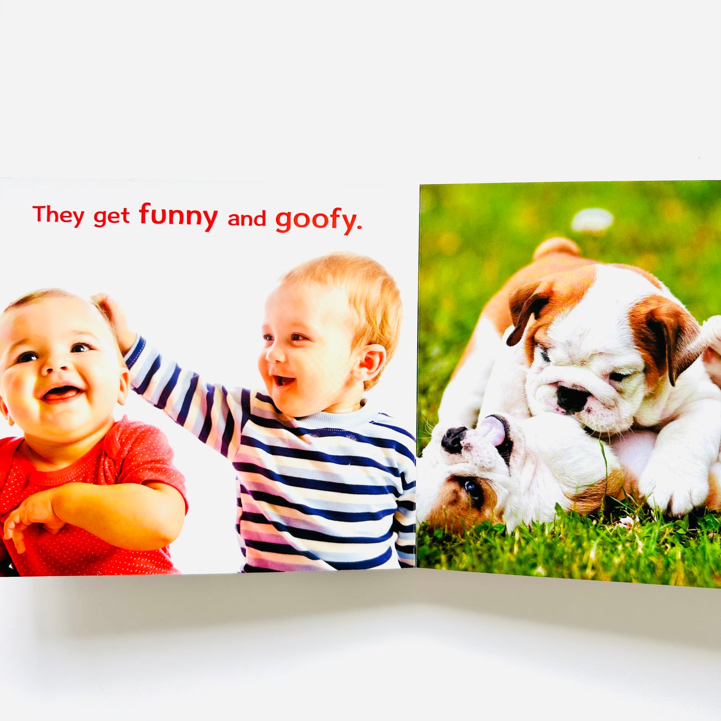 The Babies and Doggies Book