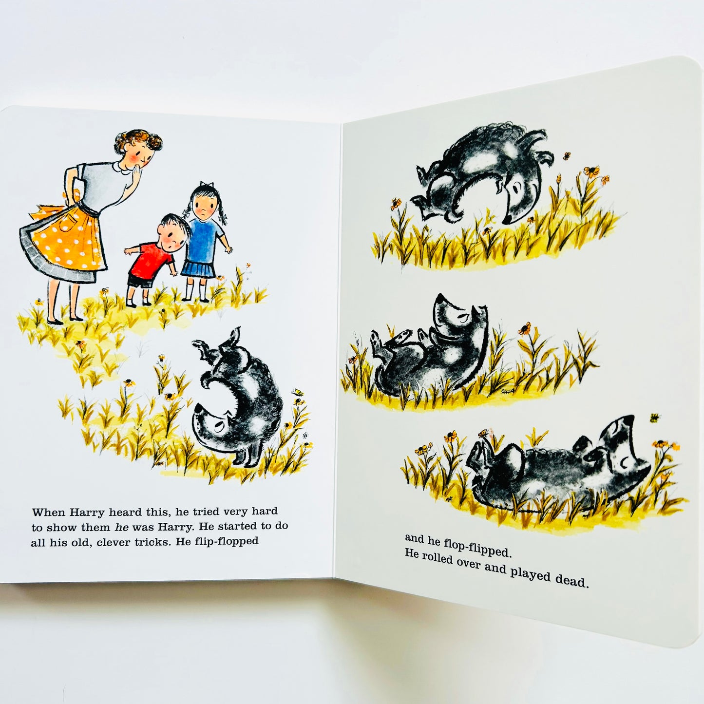 Harry the Dirty Dog Board Book