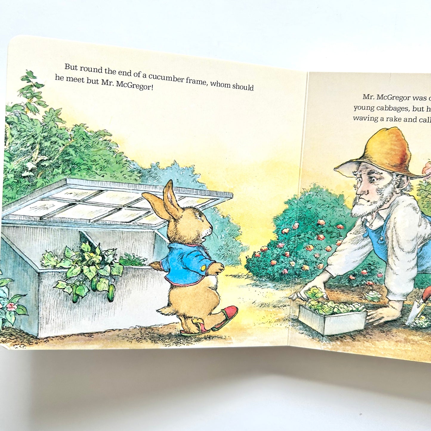 The Tale of Peter Rabbit