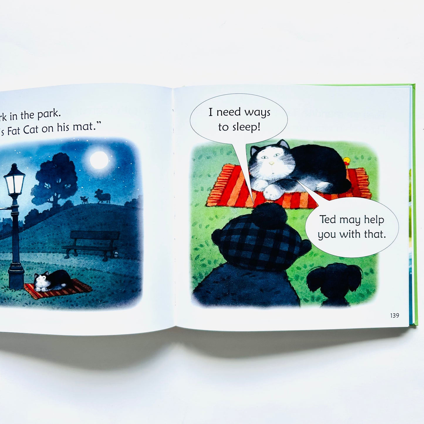 Usborne Phonics Story Collections: Fat Cat on a Mat and Other Tales