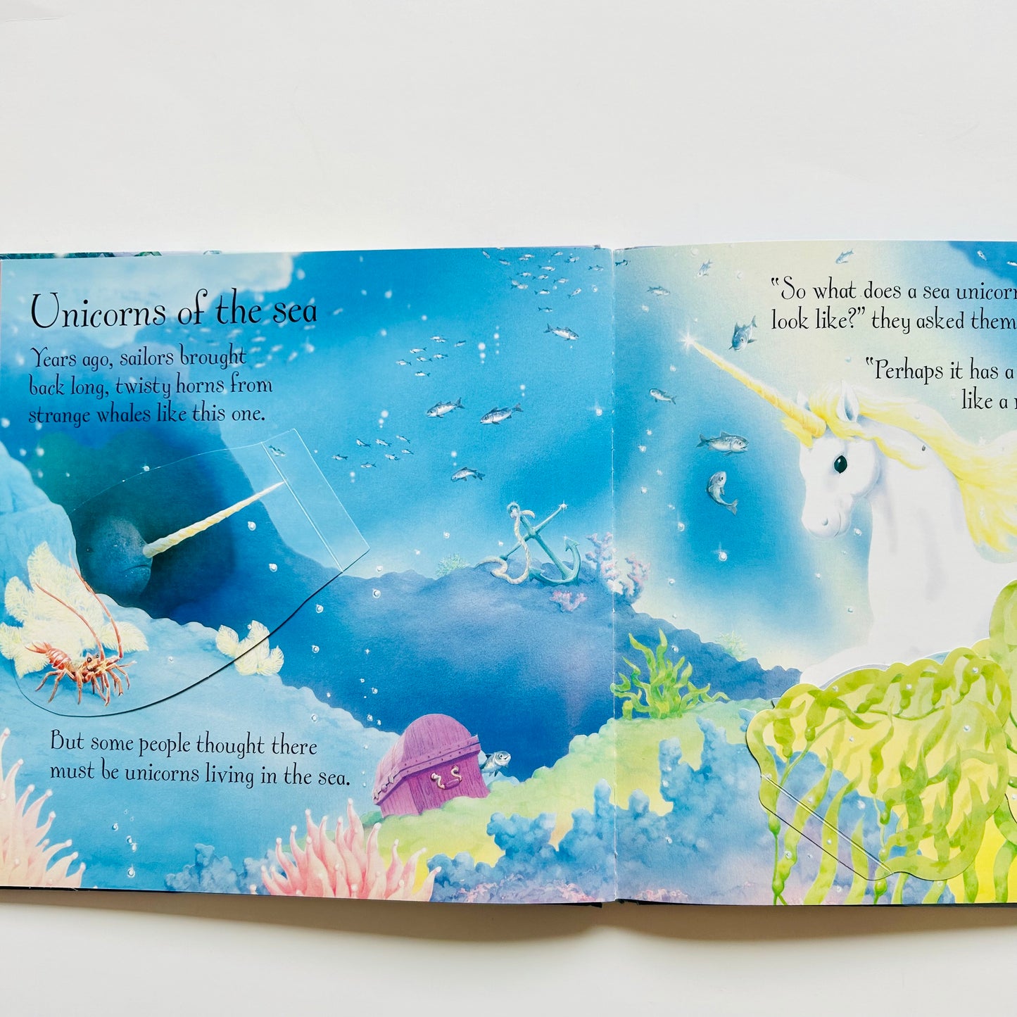 Usborne Lift-the-flap: Unicorns